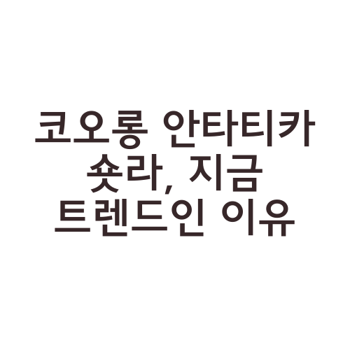 코오롱 안타티카 숏라, 지금 트렌드인 이유