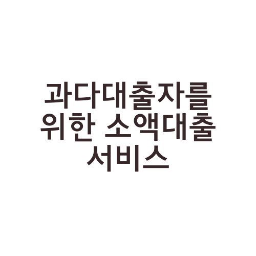 과다대출자를 위한 소액대출 서비스