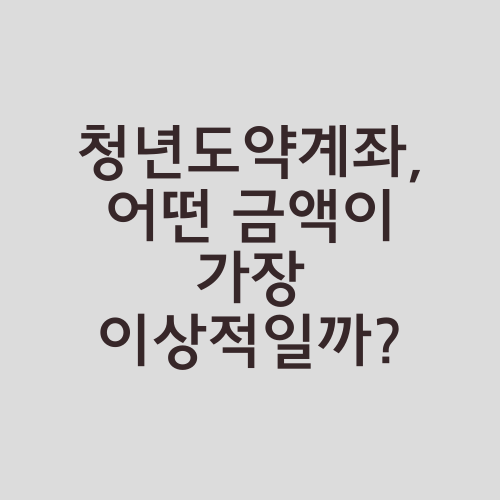 청년도약계좌, 어떤 금액이 가장 이상적일까?