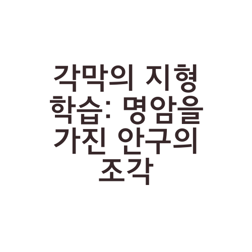 각막의 지형 학습: 명암을 가진 안구의 조각